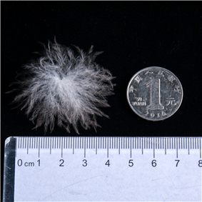 95%大朵灰番鸭串串绒